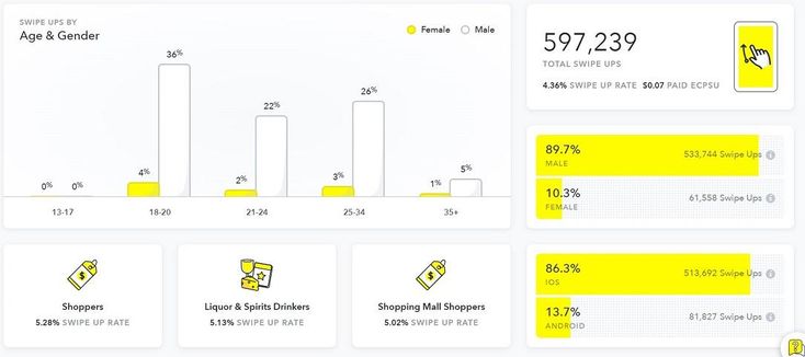 use snapchat ads manager